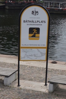 Careful when jumping sharks