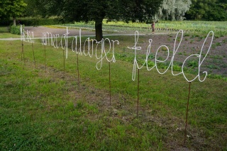 This is a corner of a larger field