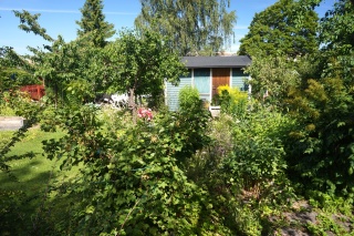 Allotment gardens. Great idea. Ask us some day