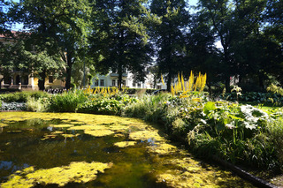 The park behind Oslo Palace, very pretty