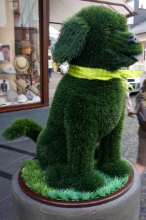 Reminded Theresa of Oscar, as anything dog shaped does at this point