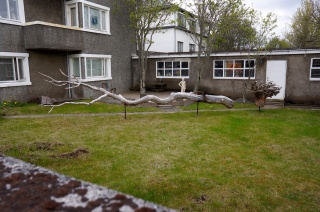 Backyard art. On the river we'd call that an elevated snag
