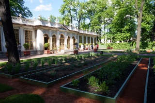 The Red Garden in the Summer Garden