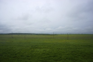 Country field