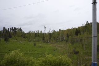 The rain has stopped and the countryside has opened up a bit