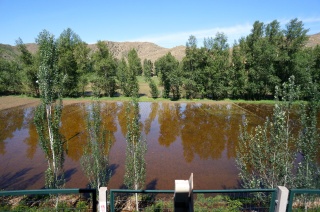 More flooded paddies