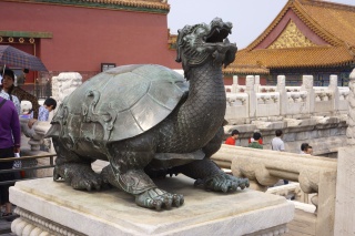 Dragon turtle