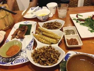 Three varieties of worm for dinner. Tree worms in the middle