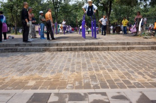 A group of old men exercising, in crazy shape. It was like an odd Venice Beach