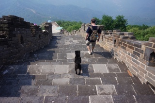 Brian and our new dog