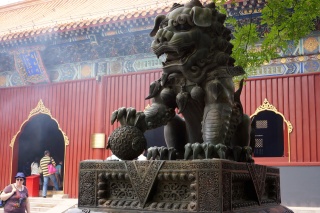 Awesome lion