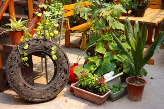 One of Wim's tires. The last time we saw one of these it was in the Louvre