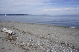 The Fay Bainbridge beach