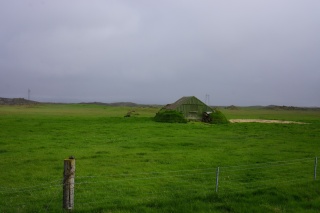 It is really green here
