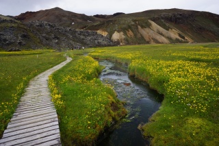 The boardwalk to the natural springs