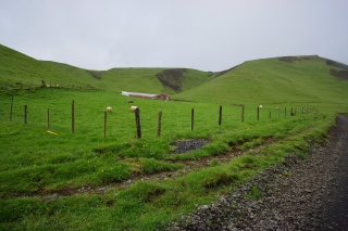 Sheep farm on the way to Pagkil Campground
