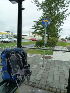 Waiting for bus 1 to city center