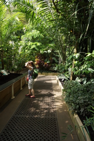 Theresa trying to imagine how the coffee tree turns into Via