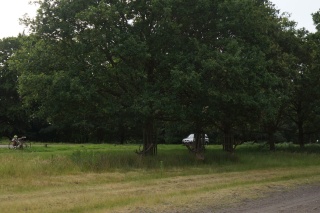 Look closely