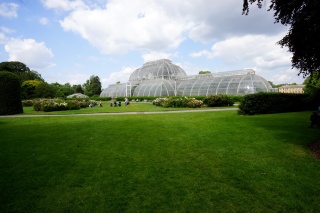 The Palm House