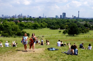 Primrose Hill. Looking toward the city
