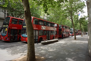 A line up of double deckers