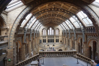 The really great ceiling of the old building