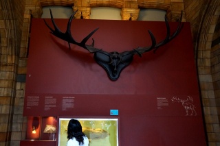 A ten foot rack