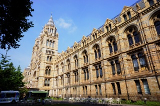 First stop, the Museum of Natural History