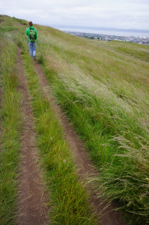Well worn trails