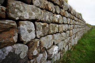 The wall