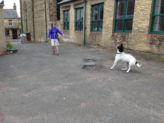 Where Theresa found a dog looking for attention