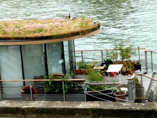 Not bad digs for a duck, if you can get it