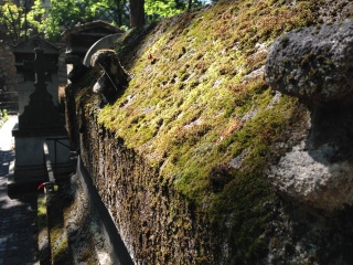 An well aged