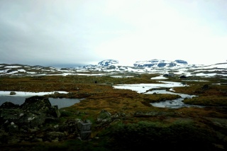 Glaciers and countryside