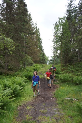 A lovely day hike in the hills behind Bergen