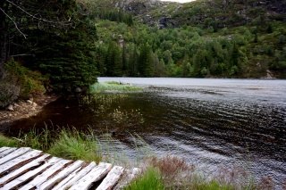 Again