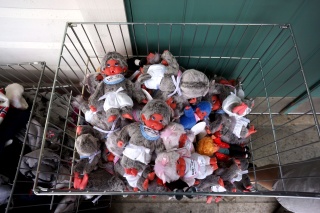 A basket of troll babies