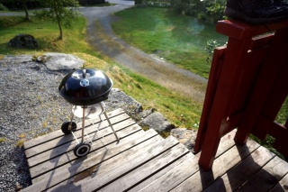 Carbon powered oven