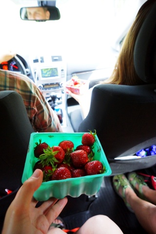 On the road to Trollstiggen. Fresh strawberries everywhere