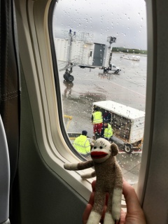 Now if we can just remember to take him out again...