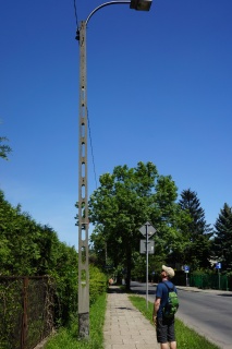 Brian, fascinated by the concrete utility poles. Brilliant