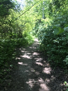 Eventually becoming a leap of faith and a nice walk in the woods
