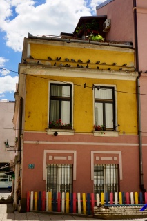 Pidgeon hangout