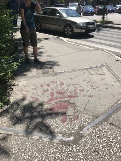 Another Sarajevo Rose