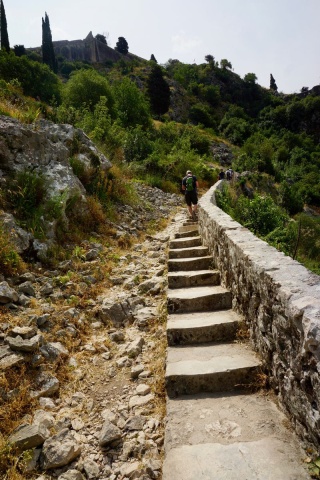 The trail