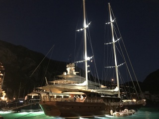 More of our neighbors...