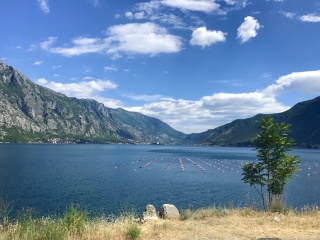 The Bay of Kotor from the road. Mussel ropes and mountains.