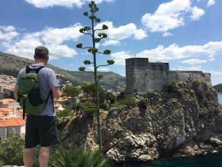 Him, an agave, and Fort Lovrijenac. Nobody planned this.