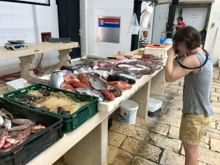 Theresa working the catch with the camera.